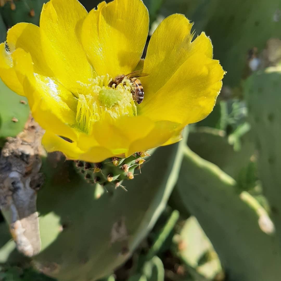 Visita guidata